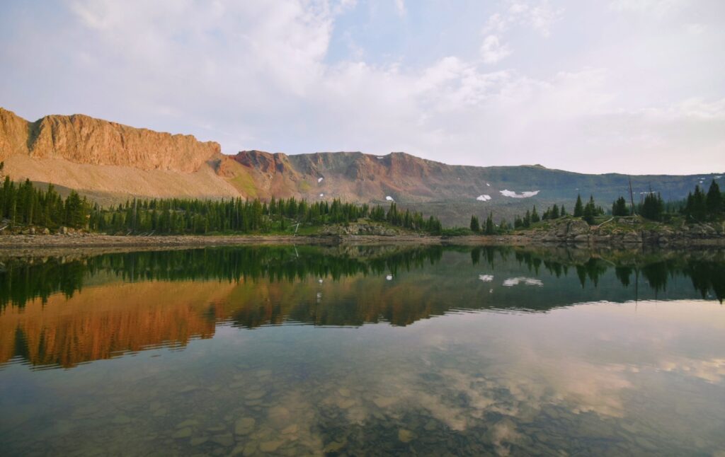 Mountain Lake Timberwolf Photography