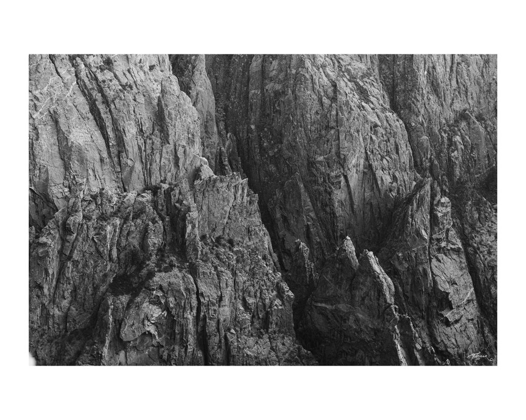 canyon 30 border Timberwolf Photography