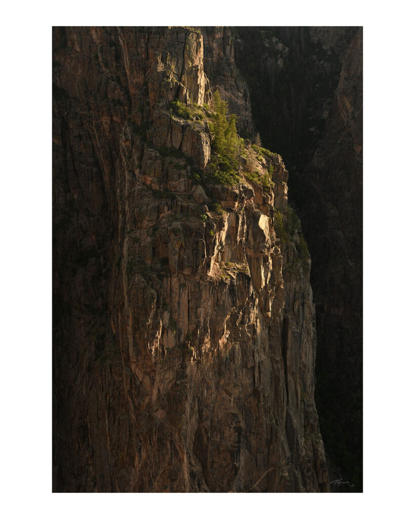 canyon 44 border Timberwolf Photography