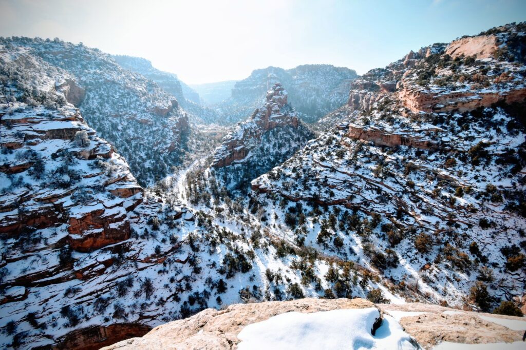Bang’s Canyon Timberwolf Photography