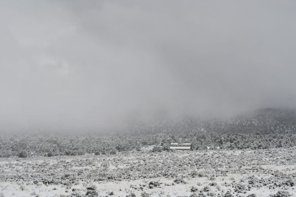 foggy winter morning 1 Timberwolf Photography