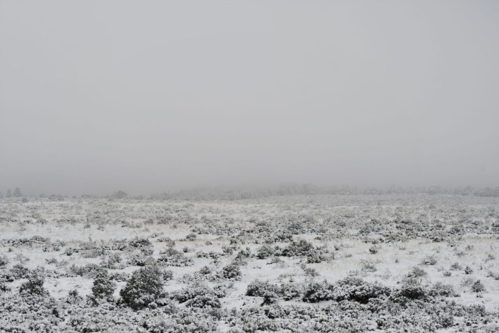 foggy winter morning 4 Timberwolf Photography