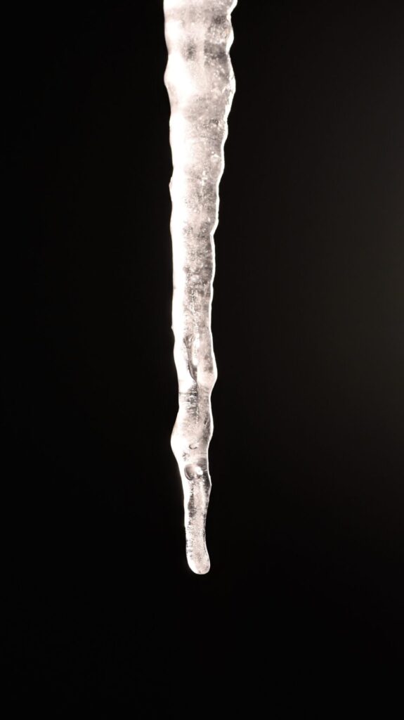 icycle 1 Timberwolf Photography