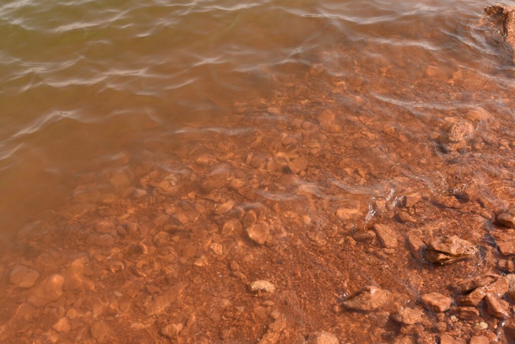 lake 7 Timberwolf Photography