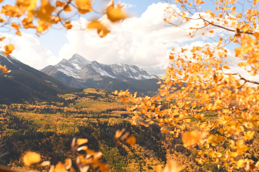 telluride 65 Timberwolf Photography
