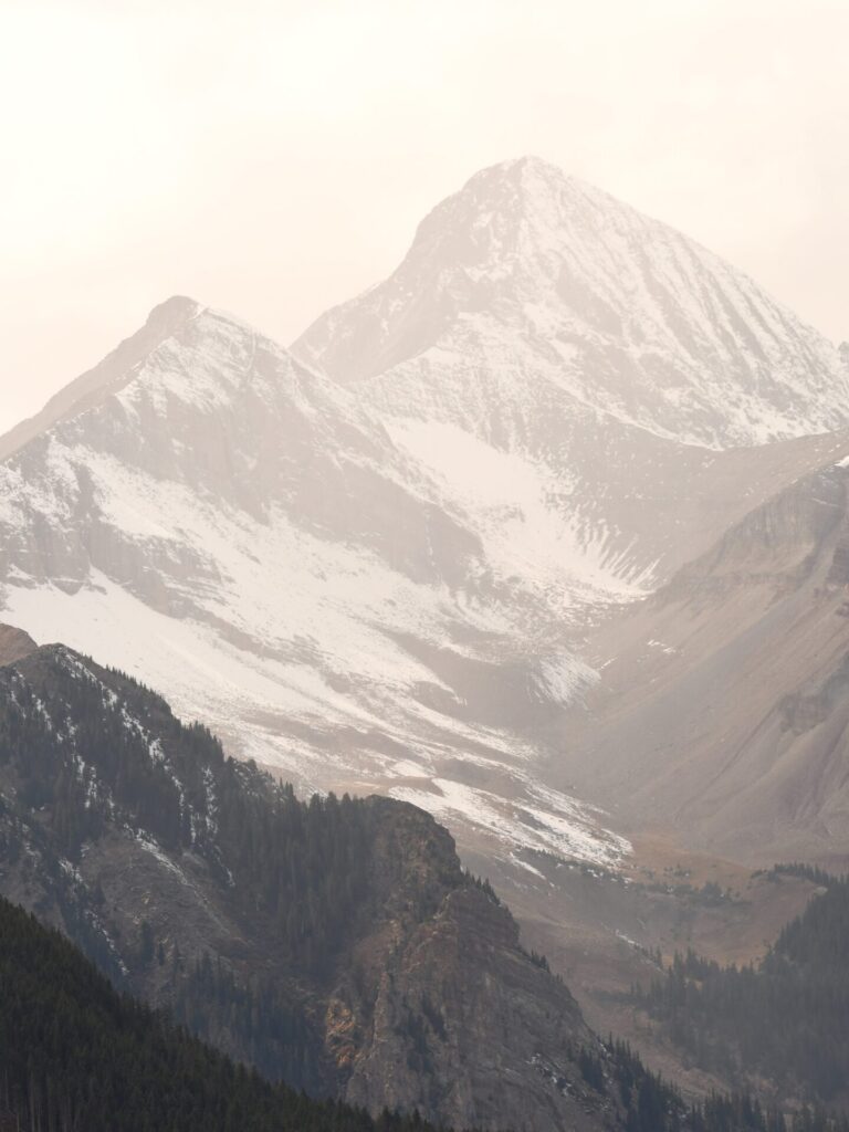 telluride 74 Timberwolf Photography