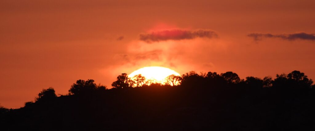 sunset 3 Timberwolf Photography