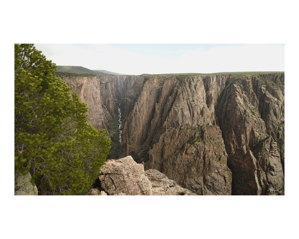 canyon 36 border Timberwolf Photography