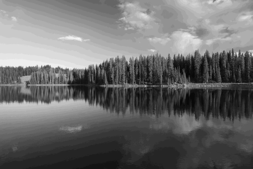 grand mesa lake Timberwolf Photography